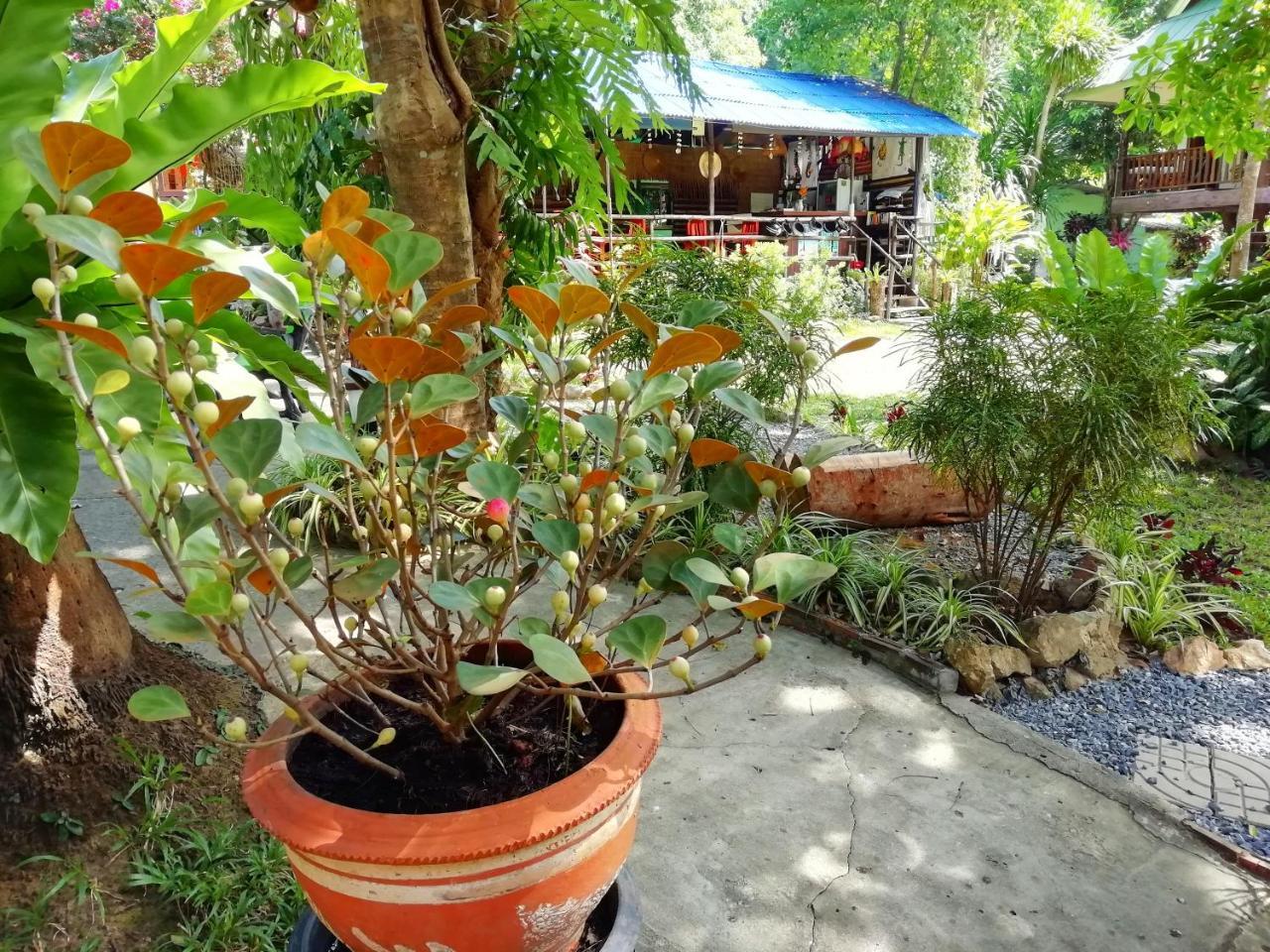 Macura Resort Koh Chang Luaran gambar