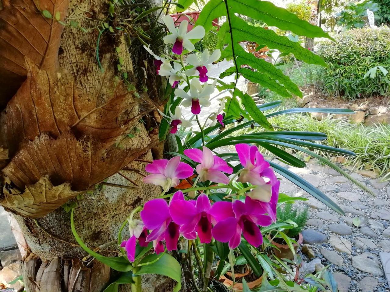 Macura Resort Koh Chang Luaran gambar